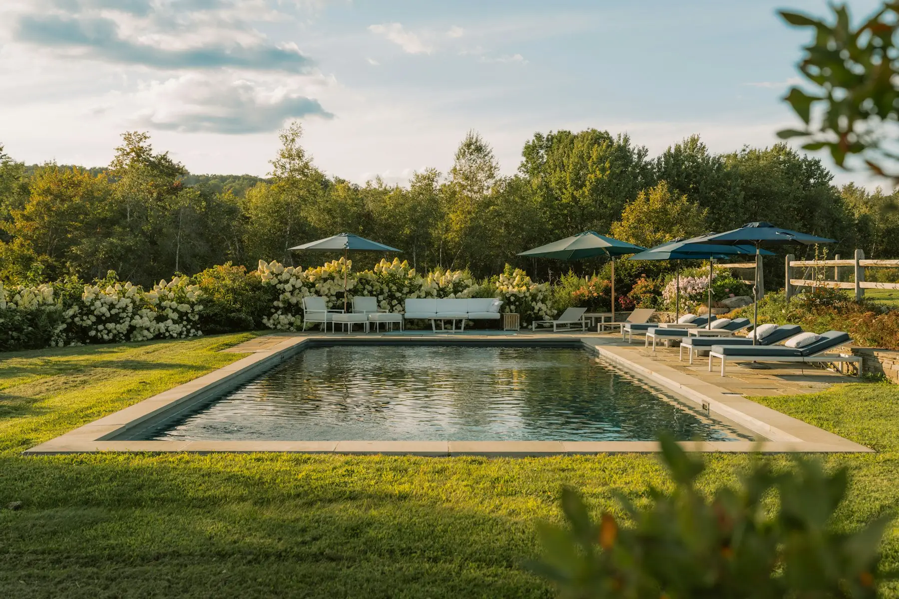 Planting along the pool edge